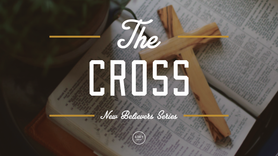 Portrait image of Renewed Conference 2022 | Session 1 | Amy McReynolds