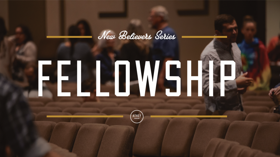 Teaching artwork for Leviticus